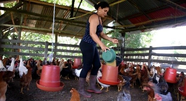 Imagen 2 del proyecto Proceso de fortalecimiento social comunitario en Magdalena Medio