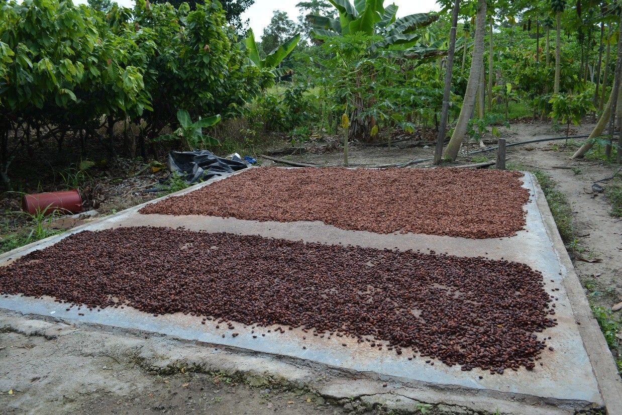 Imagen 3 del proyecto Proceso de fortalecimiento social comunitario en Magdalena Medio