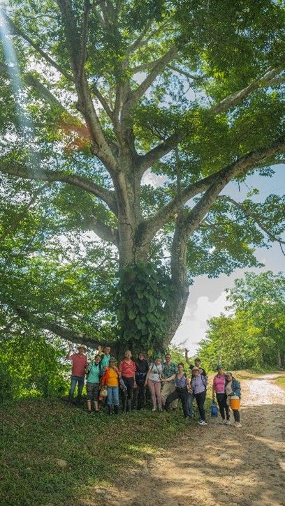 Imagen 4 del proyecto Fortalecimiento de la Capacidad de Gestión y Acción de Líderes y Lideresas, Organizaciones y Comunidades del Río Sogamoso (anteriormente Grupo Motor)