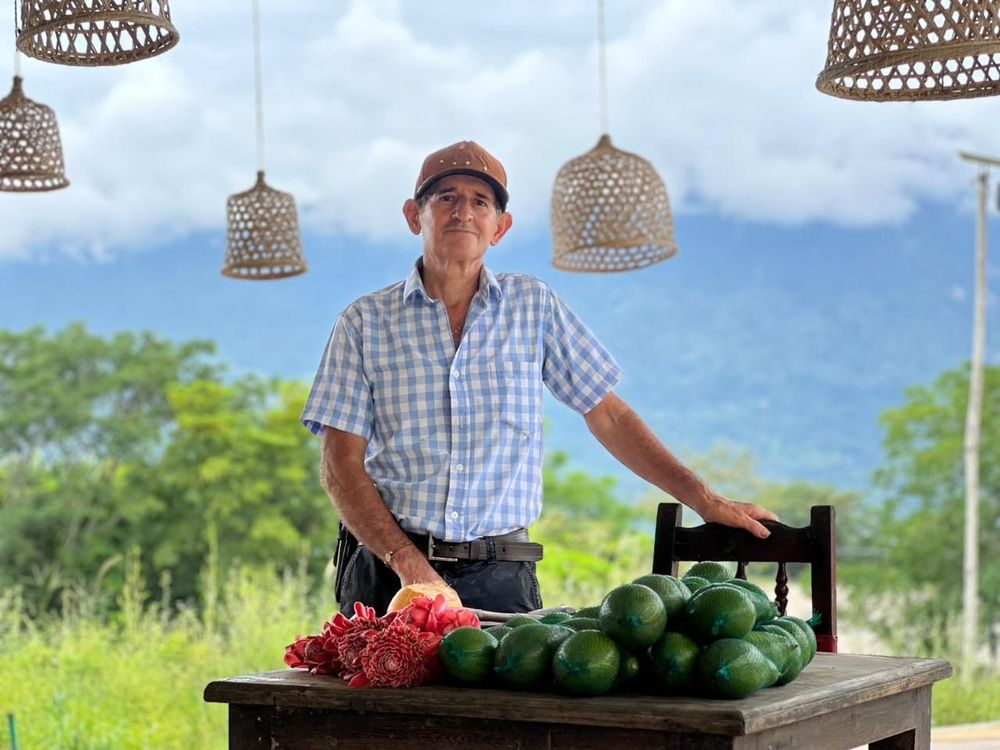 VITRINA CAMPESINA DE BETULIA: UN ESCENARIO QUE FORTALECE LA ECONOMÍA RURAL Y EL DESARROLLO TERRITORIAL - Imagen 3