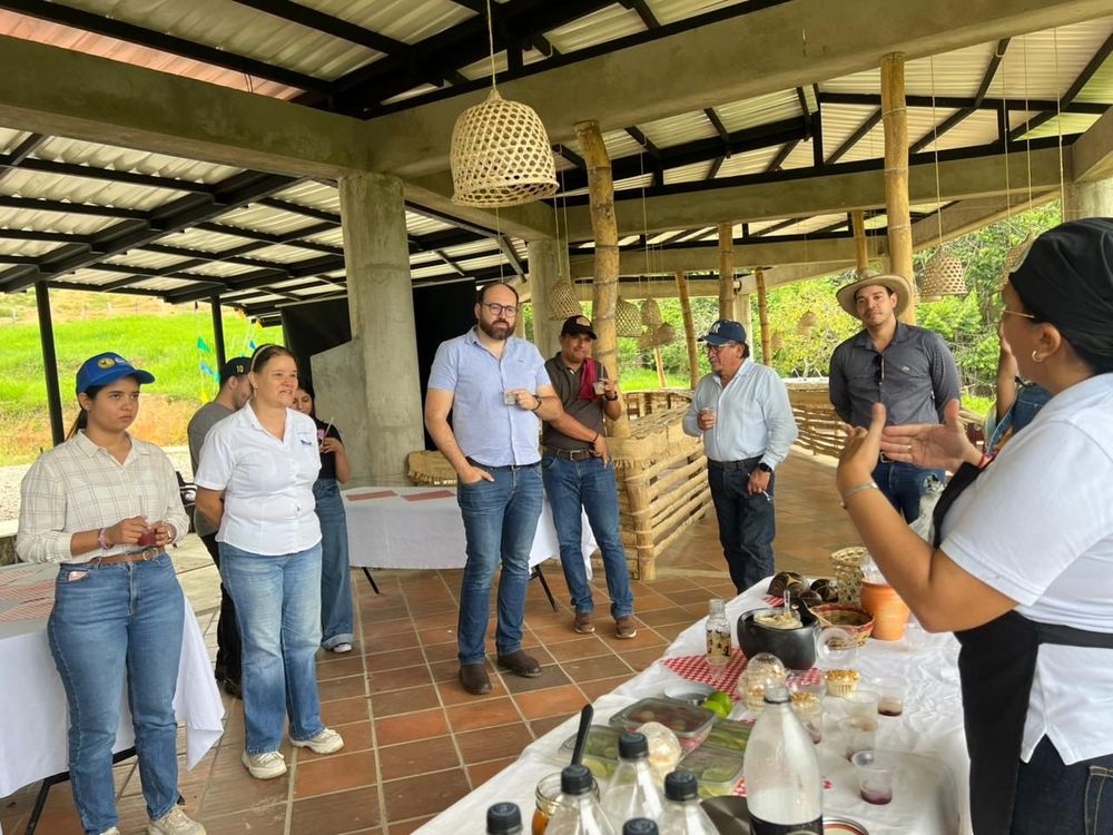 VITRINA CAMPESINA DE BETULIA: UN ESCENARIO QUE FORTALECE LA ECONOMÍA RURAL Y EL DESARROLLO TERRITORIAL - Imagen 7