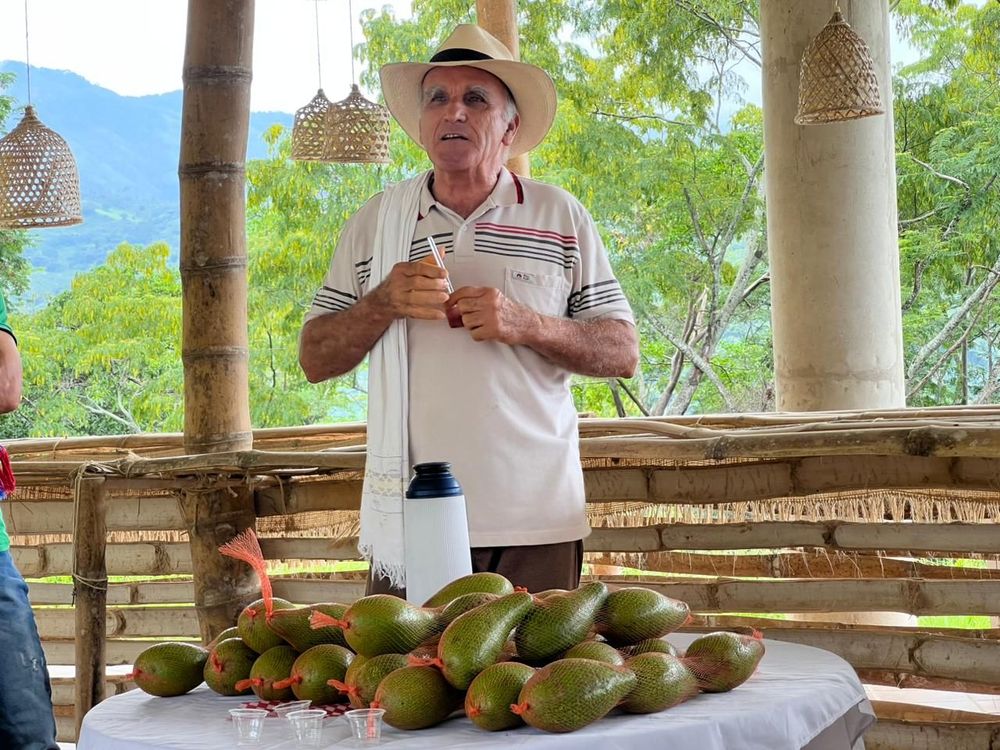 VITRINA CAMPESINA DE BETULIA: UN ESCENARIO QUE FORTALECE LA ECONOMÍA RURAL Y EL DESARROLLO TERRITORIAL - Imagen 6