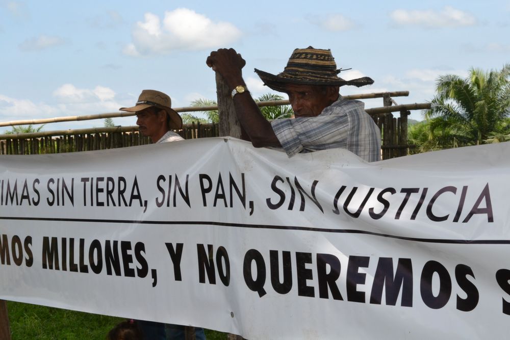CONSEJO DE ESTADO RATIFICA QUE 11 PREDIOS DE LAS PAVAS SON BALDÍOS DE LA NACIÓN Y ABRE UN NUEVO CAMINO PARA LAS FAMILIAS CAMPESINAS DE ASOCAB - Imagen 1