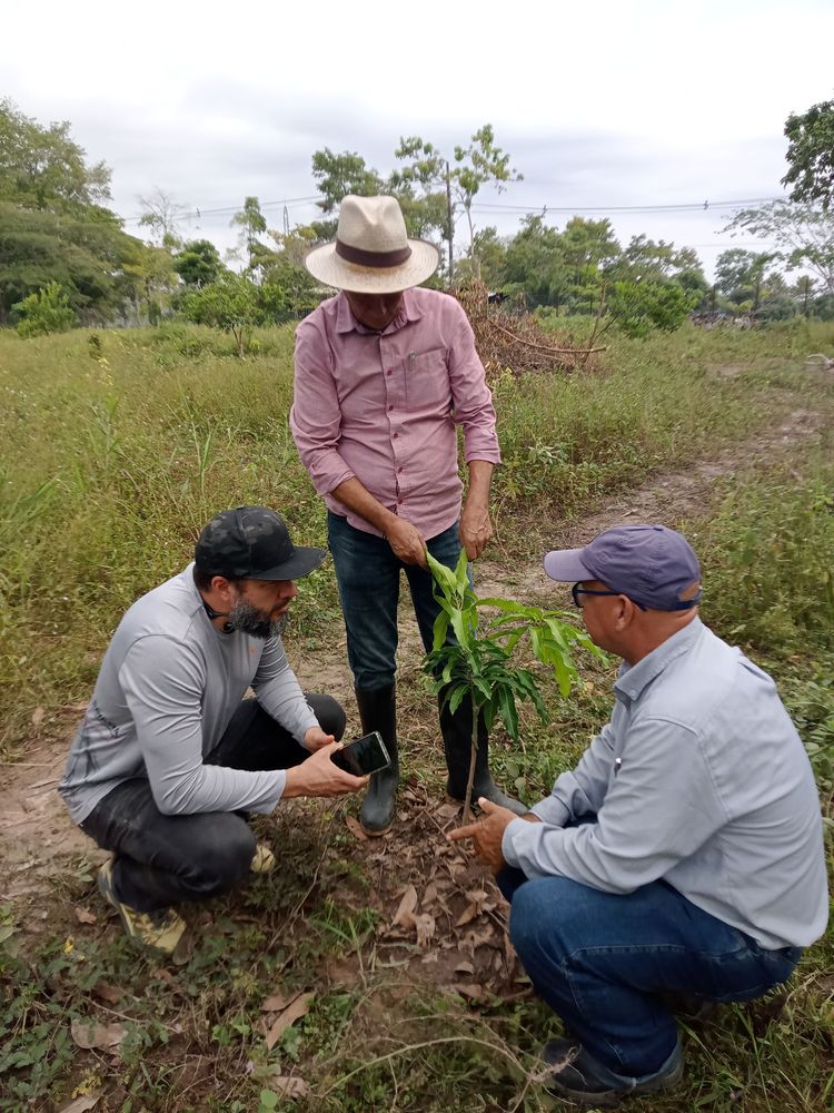 La educación también se cultiva con las manos en la tierra
PROYECTO PEDAGÓGICO VIVO: UNA ENERGÍA VIVA QUE IMPULSA EL APRENDIZAJE 

 - Imagen 9