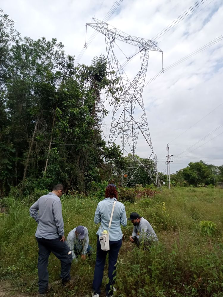 La educación también se cultiva con las manos en la tierra
PROYECTO PEDAGÓGICO VIVO: UNA ENERGÍA VIVA QUE IMPULSA EL APRENDIZAJE 

 - Imagen 7