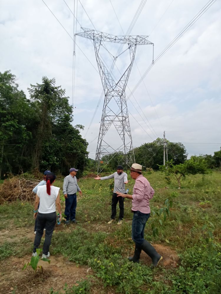 La educación también se cultiva con las manos en la tierra
PROYECTO PEDAGÓGICO VIVO: UNA ENERGÍA VIVA QUE IMPULSA EL APRENDIZAJE 

 - Imagen 4