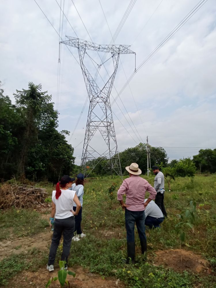 La educación también se cultiva con las manos en la tierra
PROYECTO PEDAGÓGICO VIVO: UNA ENERGÍA VIVA QUE IMPULSA EL APRENDIZAJE 

