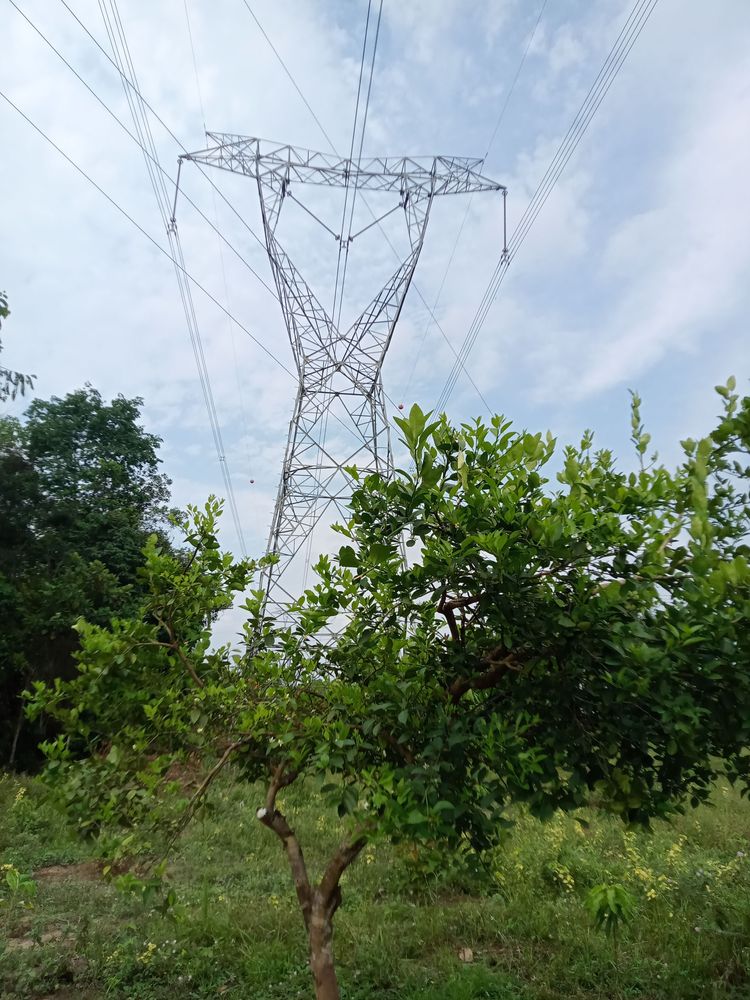 La educación también se cultiva con las manos en la tierra
PROYECTO PEDAGÓGICO VIVO: UNA ENERGÍA VIVA QUE IMPULSA EL APRENDIZAJE 

 - Imagen 5