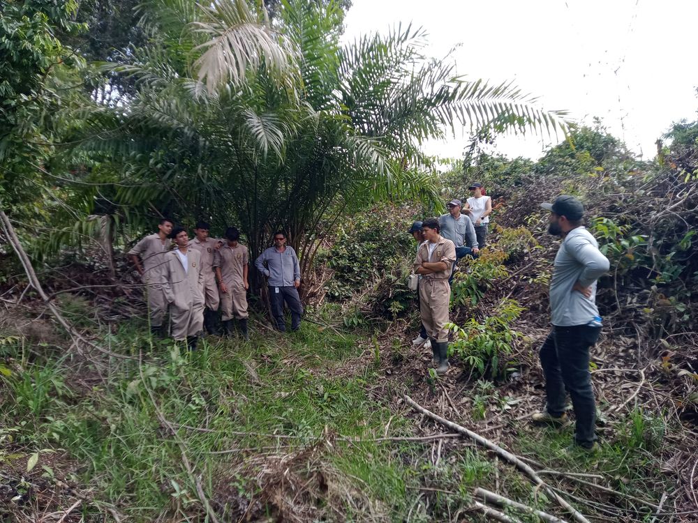 La educación también se cultiva con las manos en la tierra
PROYECTO PEDAGÓGICO VIVO: UNA ENERGÍA VIVA QUE IMPULSA EL APRENDIZAJE 

 - Imagen 12