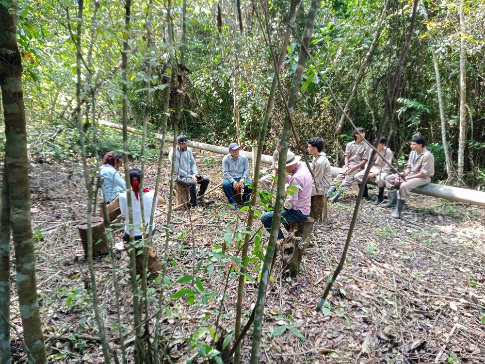 La educación también se cultiva con las manos en la tierra
PROYECTO PEDAGÓGICO VIVO: UNA ENERGÍA VIVA QUE IMPULSA EL APRENDIZAJE 

 - Imagen 14