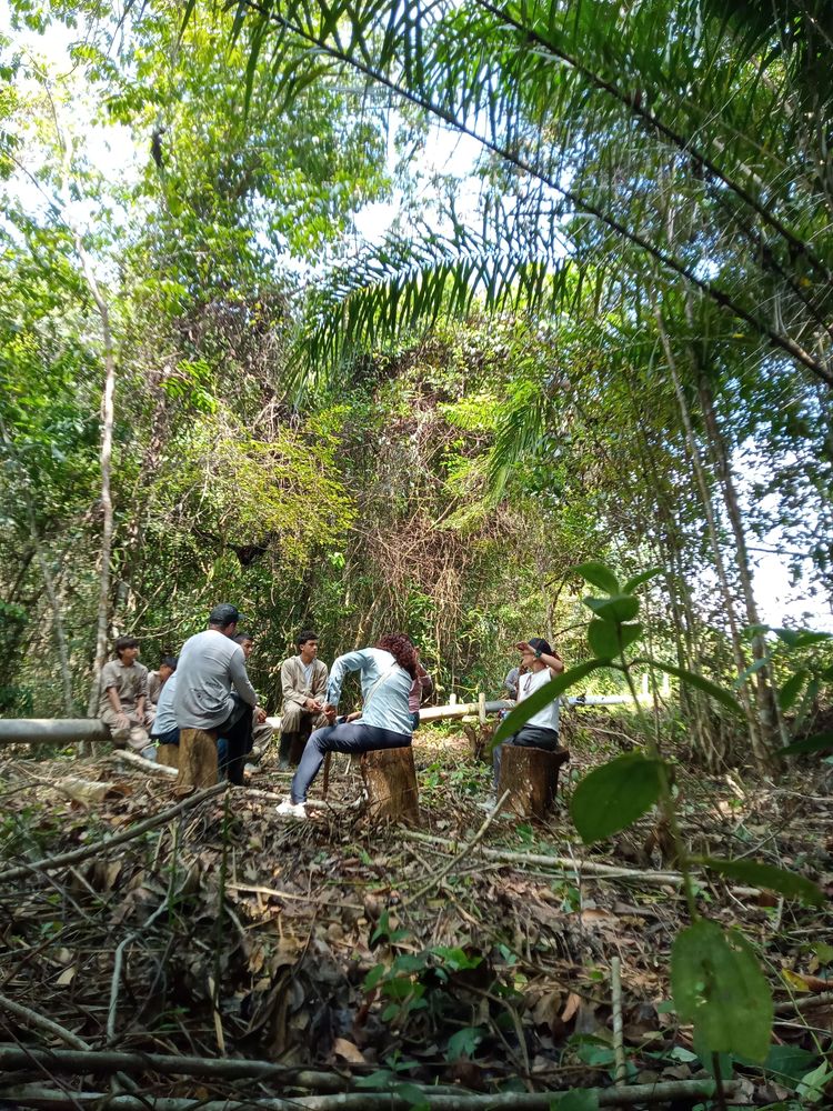 La educación también se cultiva con las manos en la tierra
PROYECTO PEDAGÓGICO VIVO: UNA ENERGÍA VIVA QUE IMPULSA EL APRENDIZAJE 

 - Imagen 13