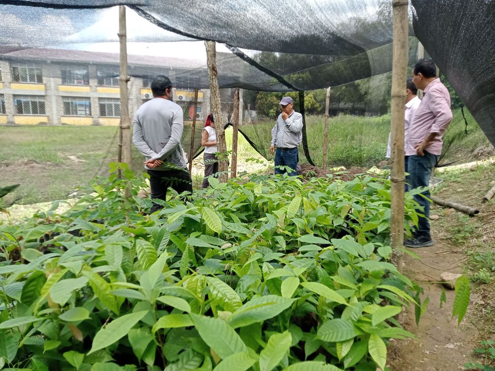 La educación también se cultiva con las manos en la tierra
PROYECTO PEDAGÓGICO VIVO: UNA ENERGÍA VIVA QUE IMPULSA EL APRENDIZAJE 

 - Imagen 10