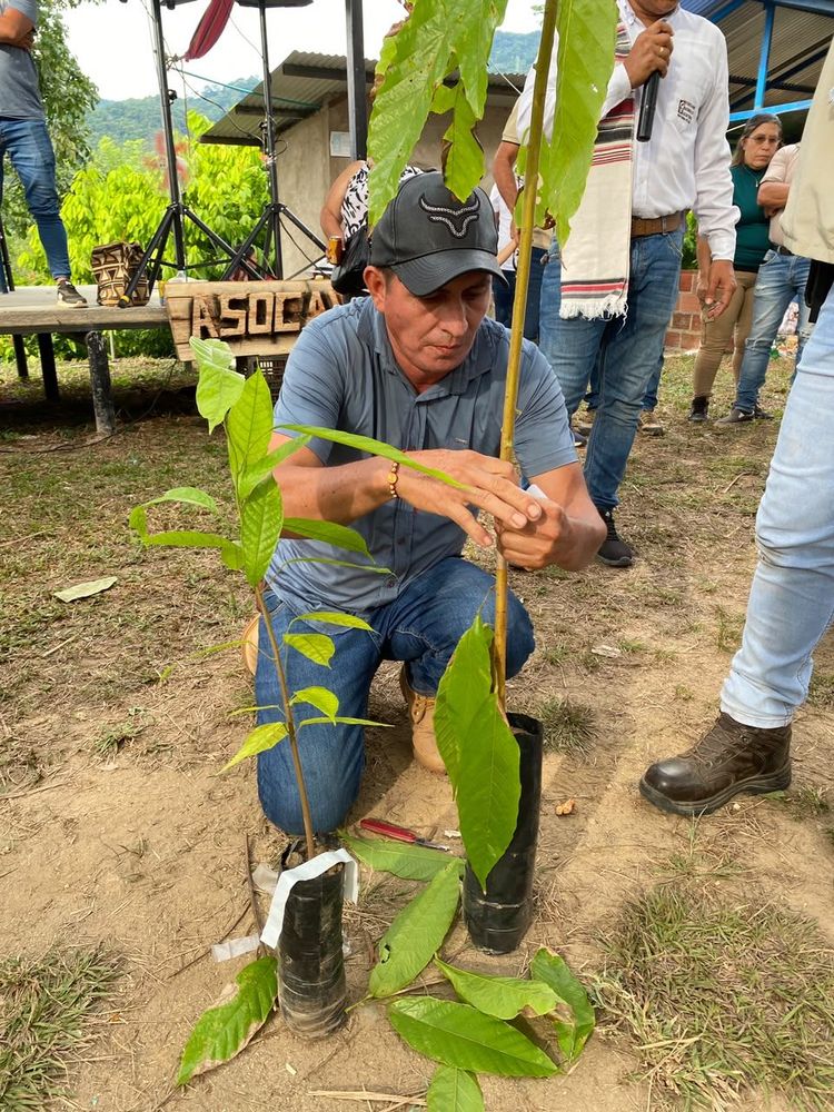 ASOCAVIZ VIVIÓ LA QUINTA EDICIÓN DE LA CHOCOFERIA - Imagen 8