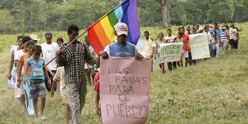 CONSEJO DE ESTADO RATIFICA QUE 11 PREDIOS DE LAS PAVAS SON BALDÍOS DE LA NACIÓN Y ABRE UN NUEVO CAMINO PARA LAS FAMILIAS CAMPESINAS DE ASOCAB